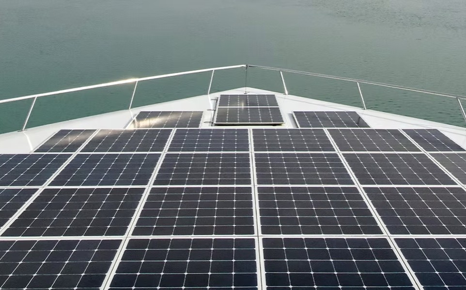 Porrima module installation detail